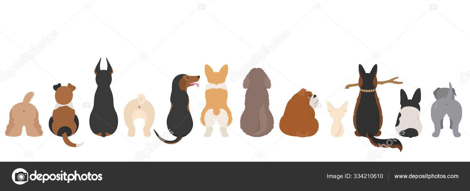 Image vectorielle Les chiens posent derrière. Les fesses de chien. Bordure  design plate par ©A7880S - 334210610, image size:1600x652