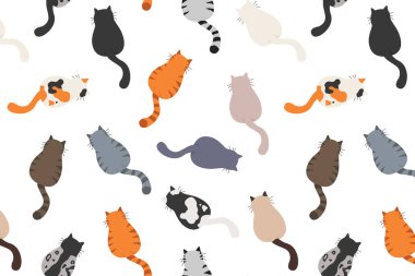 Kediler arkada poz verir. Kedi poposu. Düz tasarım deseni