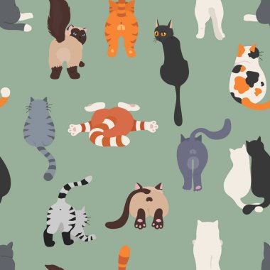 Kediler arkada poz verir. Kedi poposu. Düz tasarım kusursuz desen