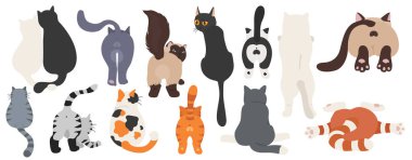 Kediler arkada poz verir. Kedi poposu. Düz tasarım clipart