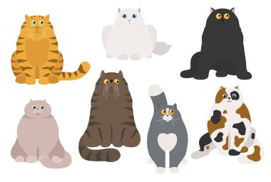 Kedi posteri. Çizgi film kedi karakterleri koleksiyonu. Farklı kediler.