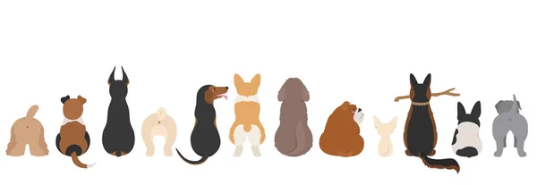 Dogs poses behind. Dog`s butts. Flat design border — 스톡 벡터