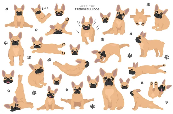 French bulldog clipart. Dog healthy silhouette and yoga poses se — 스톡 벡터