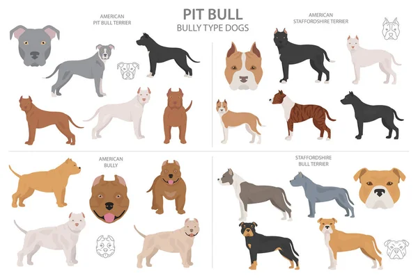 Pitbull terrier varieties — 스톡 벡터