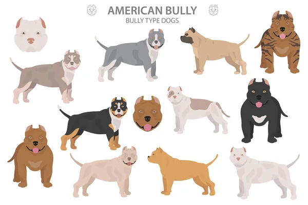 Pit bull type dogs. American bully. Different variaties of coat — Stock Vector