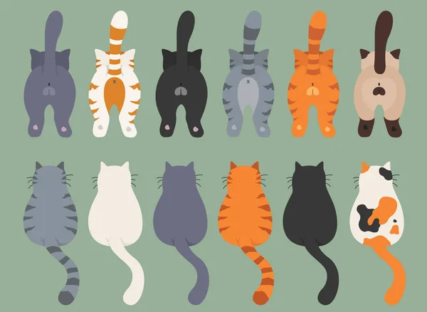 Gatos posam para trás. Rabos de gato. Clipart de design plano — Vetor de Stock