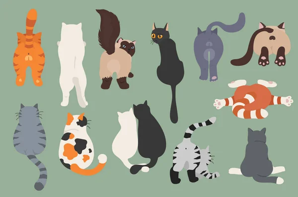 Gatos posam para trás. Rabos de gato. Clipart de design plano — Vetor de Stock