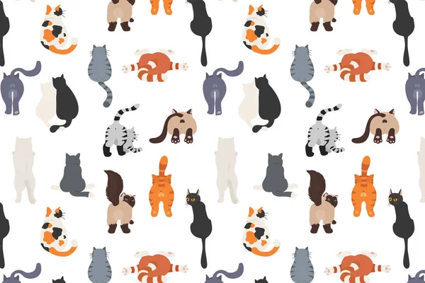 Cats poses behind. Cat`s butts. Flat design pattern
