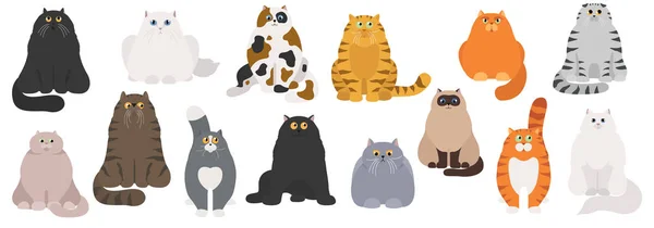 Katzenposter. Cartoon-Katzenfiguren Sammlung. Verschiedene Katzenarten — Stockvektor
