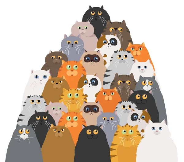 Cartaz de gato. Desenhos animados coleção de personagens de gato. Diferentes p do gato — Vetor de Stock