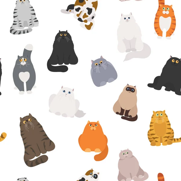 Cartaz de gato. Personagens de gato desenhos animados sem costura padrão. Diferentes c — Vetor de Stock