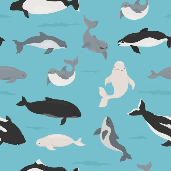 Marine mammals collection. Different porpoises set. Cartoon flat — 스톡 벡터