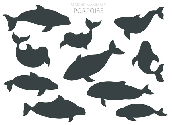 Kolekcja ssaków morskich. Różne morświny. Płaska kreskówka — Wektor stockowy