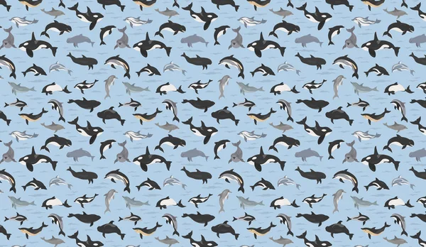 Delfiner sömlöst mönster. Insamling av marina däggdjur. Tecknad film — Stock vektor