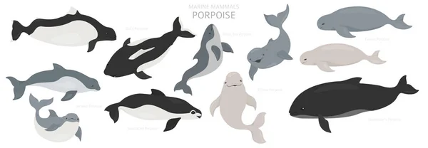 Colección de mamíferos marinos. Diferentes marsopas. Dibujos animados plana — Vector de stock