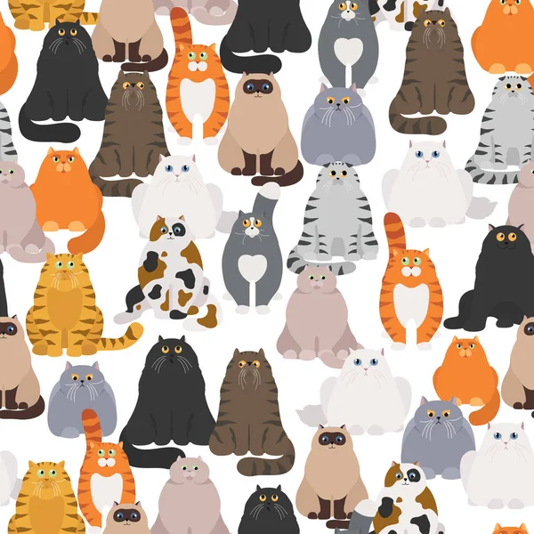 Karakter kartun anak kucing Stok Vektor, Ilustrasi Karakter kartun