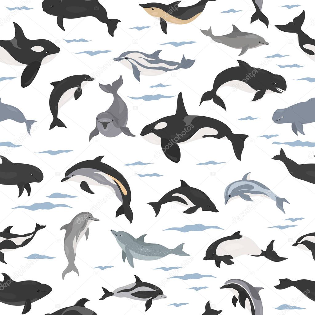 Dolphins seamless pattern. Marine mammals collection. Cartoon fl
