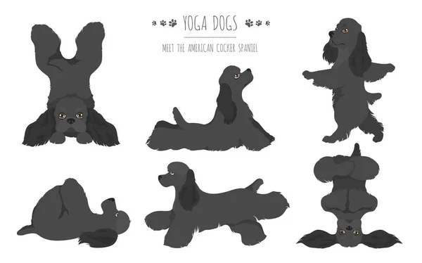 Cães de ioga poses e exercícios design de cartaz. Spa americano cocker — Vetor de Stock