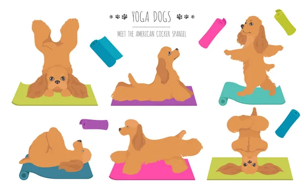 Anjing yoga berpose dan latihan desain poster. Spa cocker Amerika - Stok Vektor