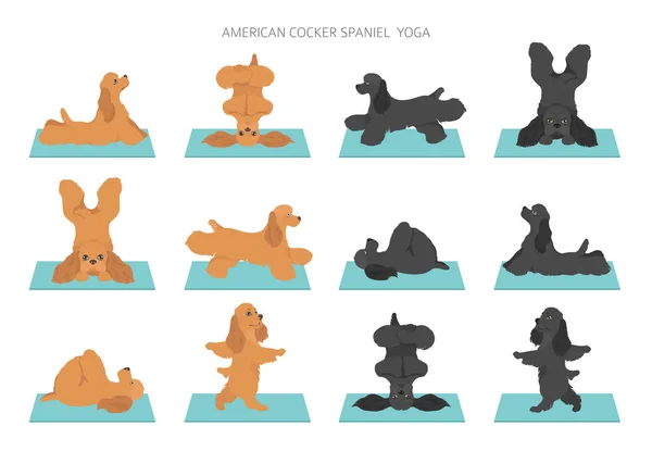 Cães de ioga poses e exercícios design de cartaz. Spa americano cocker — Vetor de Stock