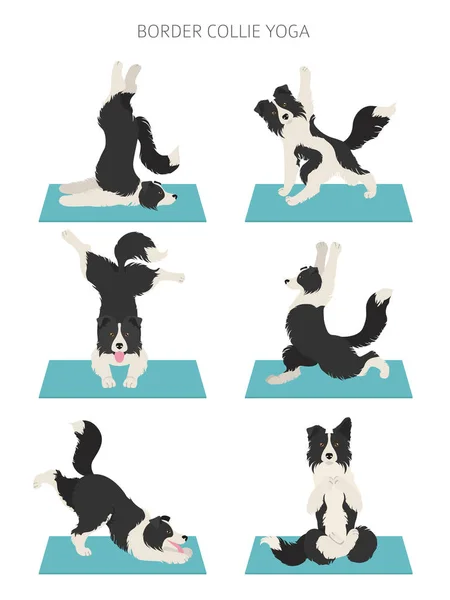 Anjing yoga berpose dan latihan desain poster. clipa perbatasan collie - Stok Vektor