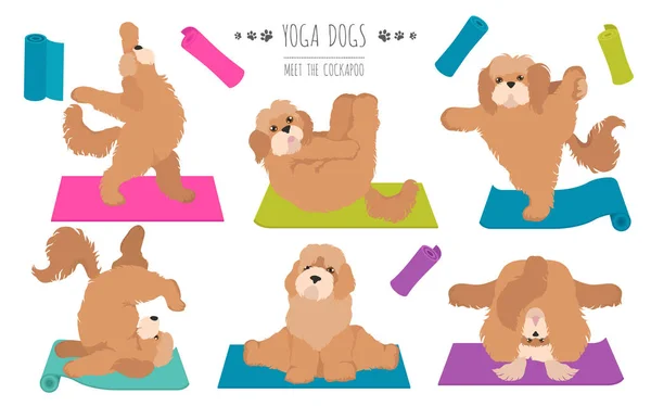 Perros de yoga posa y ejercicios diseño de póster. Cockapoo clipart — Vector de stock