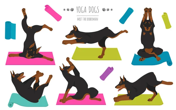 Cães de ioga _ Doberman _ 1 — Vetor de Stock