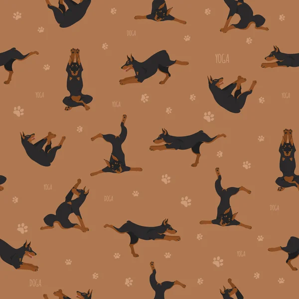 Cães de ioga poses e exercícios sem costura design padrão. Doberman. — Vetor de Stock