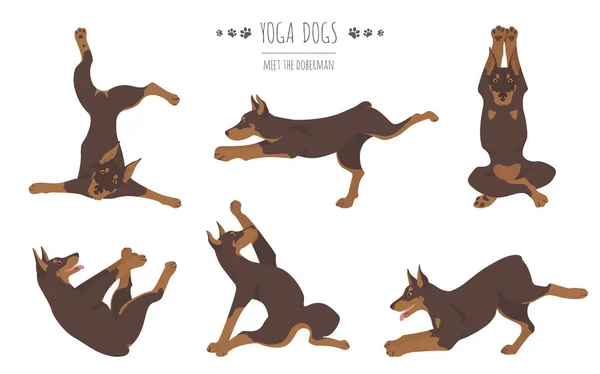 Yoga köpekleri _ Doberman _ 1 — Stok Vektör