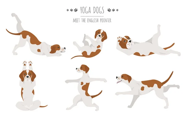 Yoga cani pose ed esercizi poster design. Indicatore inglese cli — Vettoriale Stock