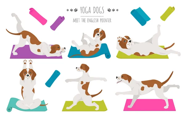 Yoga cani pose ed esercizi poster design. Indicatore inglese cli — Vettoriale Stock