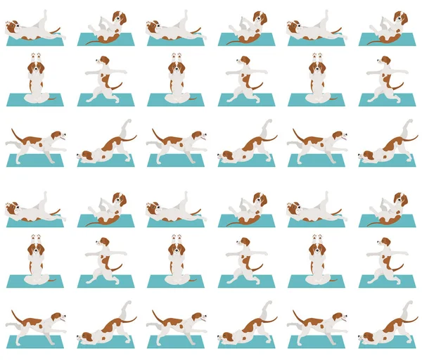 Anjing yoga berpose dan latihan desain pola mulus. P Inggris - Stok Vektor