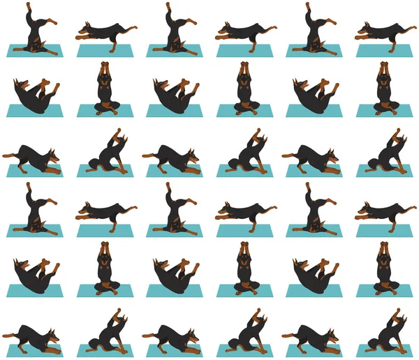 Yoga hundar poserar och övar seamless mönsterdesign. Doberman — Stock vektor