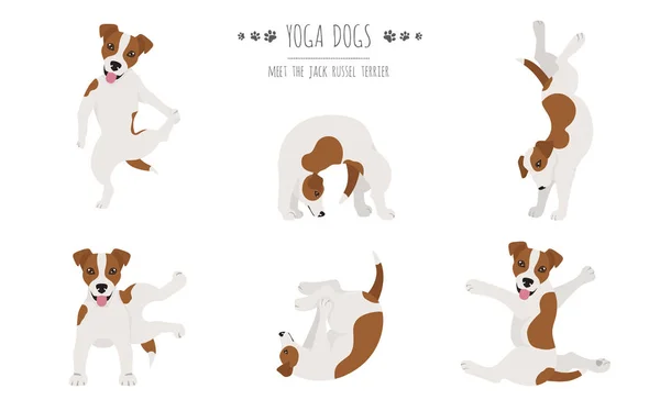 Yoga-Hunde posieren und gestalten Plakatmotive. Jack Russel Terrier — Stockvektor