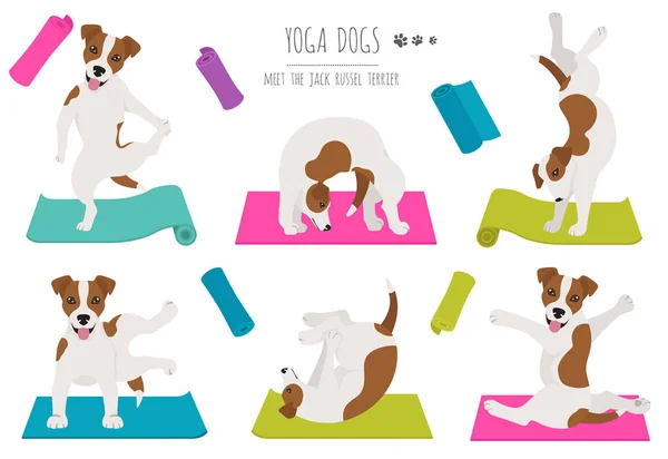 Yoga hundar poserar och övar affischdesign. Jack Russel terrier — Stock vektor