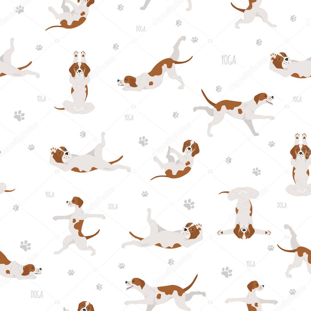 Yoga dogs poses and exercises seamless pattern design. English p
