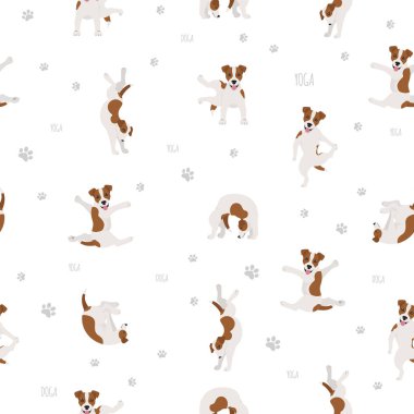 Yoga köpekleri poz verir ve kusursuz desen tasarımı yapar. Jack Russ