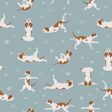 Yoga köpekleri poz verir ve kusursuz desen tasarımı yapar. İngilizce p