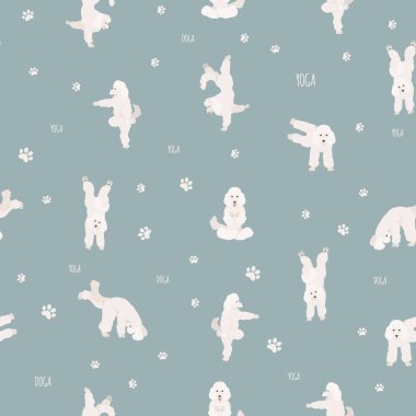 Yoga köpekleri poz verir ve kusursuz desen tasarımı yapar. Kaniş kanişi!