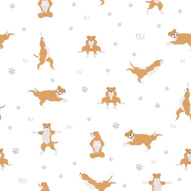 Yoga köpekleri poz verir ve kusursuz desen tasarımı yapar. Staffords