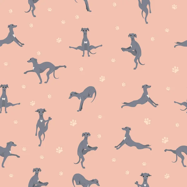 Yoga chiens pose et exerce conception de modèle sans couture. Italien g — Image vectorielle