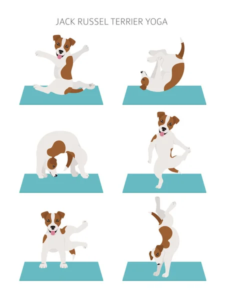Cães de ioga poses e exercícios design de cartaz. Jack Russel terrier — Vetor de Stock