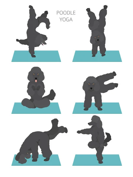 Cães de ioga poses e exercícios design de cartaz. Clipart de caniche — Vetor de Stock