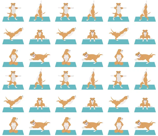 Perros de yoga plantea y ejercicios de diseño de patrón sin costuras. Staffords — Vector de stock