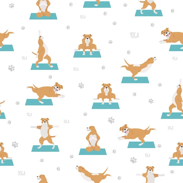 Perros de yoga plantea y ejercicios de diseño de patrón sin costuras. Staffords — Vector de stock