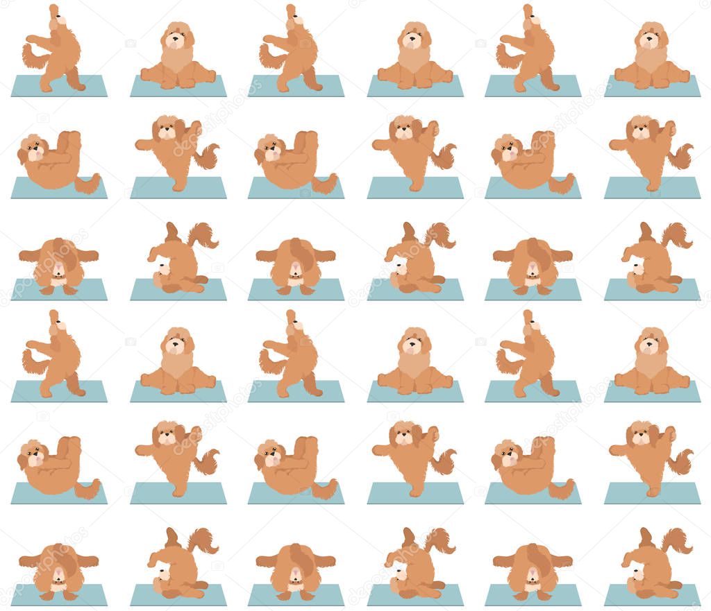 Yoga dogs poses and exercises seamless pattern design. Cockapoo 