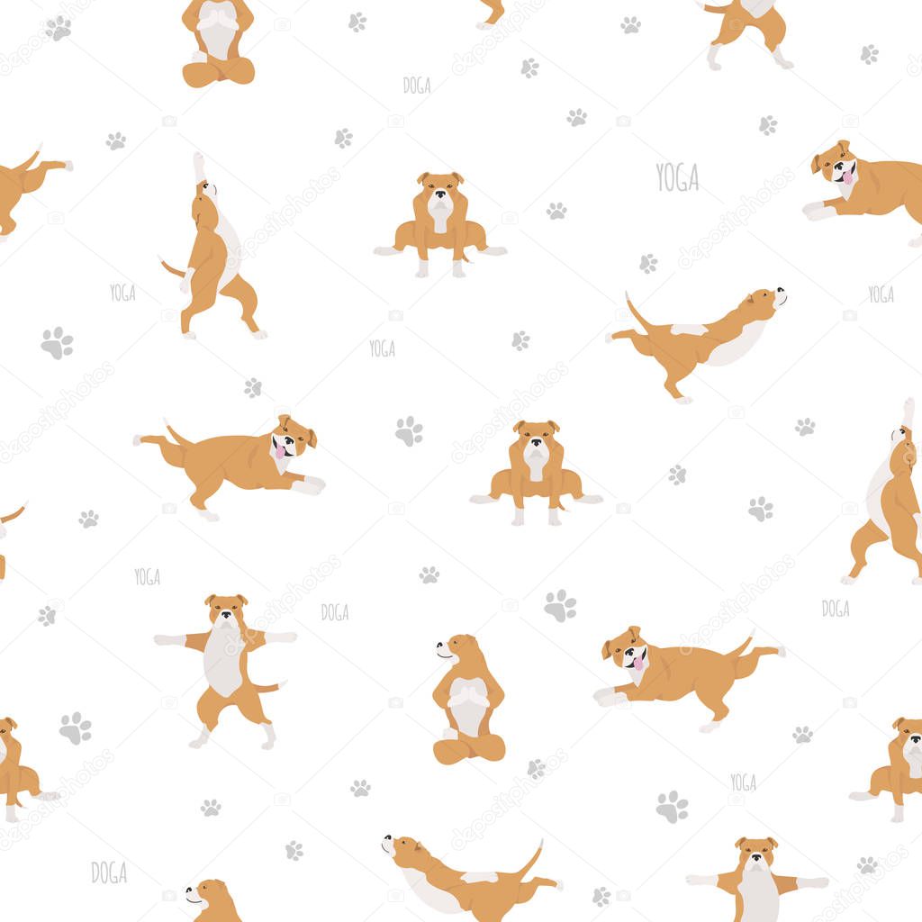 Yoga dogs poses and exercises seamless pattern design. Staffords