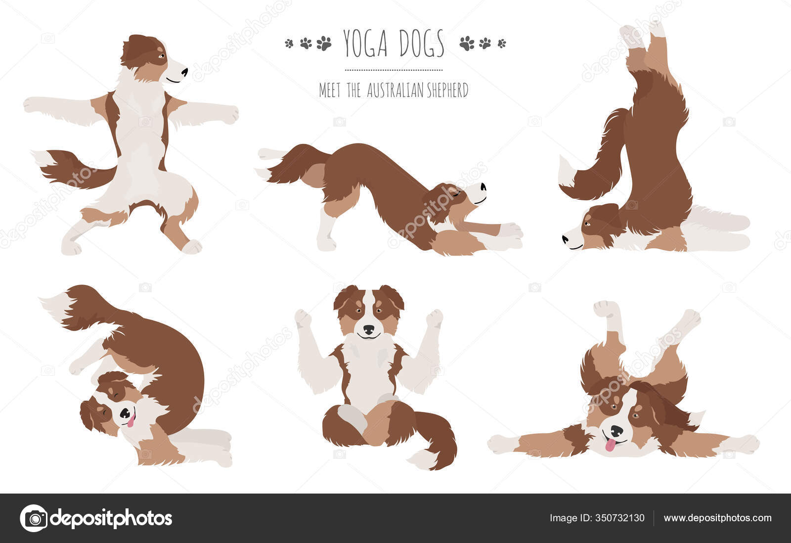 Yoga Dogs Poses Exercises Australian Shepherd Clipart Vector