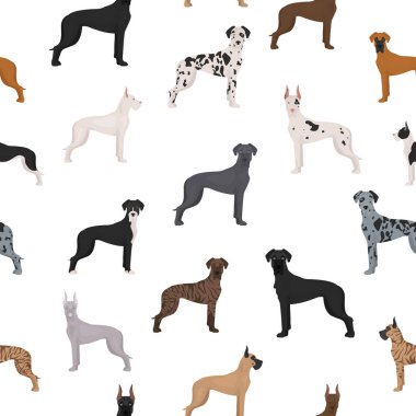 Harika, kusursuz bir Danimarka deseni. Farklı türde palto renginde köpek seti. Vektör illüstrasyonu