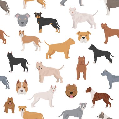 Pitbull tipi köpekler. Kusursuz desen. Farklı renkte kabadayı köpekleri seti. Vektör illüstrasyonu